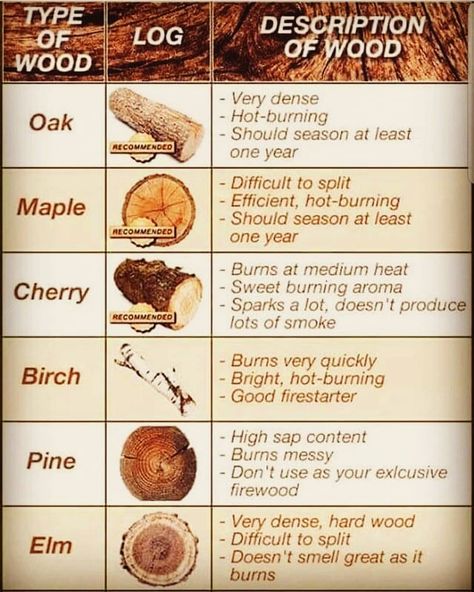 #Repost @every.day.prepped • • • • • • Different types of wood 🔥🔥 Oak, Maple, and Cherry best recommended 🌲 . . . Follow👇 Comment💬 & Share!📲 ➡️ @every.day.prepped ⬅️ ➡️ @every.day.prepped ⬅️ Great picture by: 📸 @powerequipmentdirect 📸  #survival #survivalskill #survivalcraft #selfsustaining #survivalofthefittest #survivalprepping #doomsdaypreppers #disastersupplies #exploreoutdoors #emergencypreparedness #camp #campfire #shtf #firemaking #fire #prepperskills #preppers #preparetosurvive Survival In The Woods, Type Of Wood, Tree Identification, Different Types Of Wood, Survival Life, Wood Carving Tools, Wilderness Survival, Wild Food, Survival Prepping