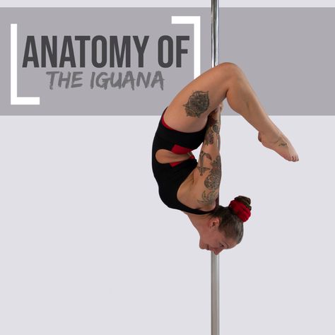 Pole Moves, Pole Dancing Fitness, Aerial Hoop, Body Awareness, Aerial Silks, Pole Fitness, Dance Photos, Pole Dance, I Work Out