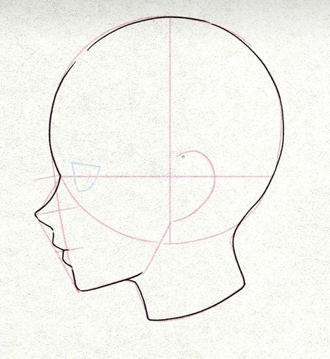 Heads Poses Drawing, Side Face Drawing Woman, Anime Head Proportions, Head Practice Drawing, Anime Head Sketch, Anime Head Drawing Reference, Boy Head Drawing, Face Drawing Reference Sketches, Drawing Base Head