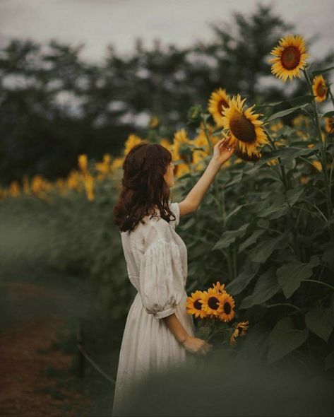 Sunflower Field Pictures, Sunflower Photoshoot, Calming The Storm, Sunflower Pictures, Flower Photoshoot, Sunflower Fields, Portrait Photography, Sunflower, Flowers