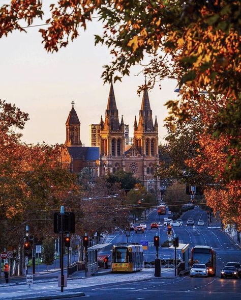 St Peters Cathedral, City Of Adelaide, Australia Photos, Adelaide South Australia, Morning View, City Wallpaper, City Landscape, Travel Photo, Places Of Interest