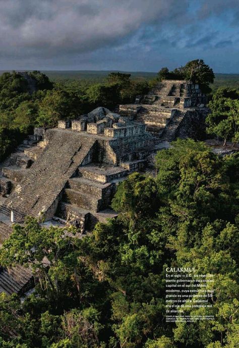 Kalakmul Maya Design, Maya Ruins, Maya Civilization, Tikal, Interesting Places, Travel Brochure, Archaeological Site, Bora Bora, Ancient Civilizations