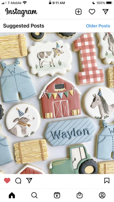 Pink Farm Party, Barn Birthday Party, Farm Cookies, Farm Theme Birthday, Farm Baby Shower, Sugar Cookie Royal Icing, Farm Animal Birthday, 2nd Birthday Party Themes, Farm Birthday Party