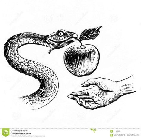 Eve Drawing, Apple Drawing, Apple Tattoo, Snake Illustration, Soul Collage, Snake Drawing, Black White Art, Deck Ideas, Adam And Eve