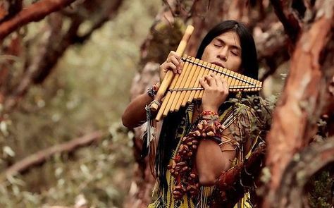 , Abba Chiquitita, Indian Musical Instruments, Native Beauty, Native American Actors, Native American Music, Pan Flute, Native American Flute, Native American Men, Indigenous Americans