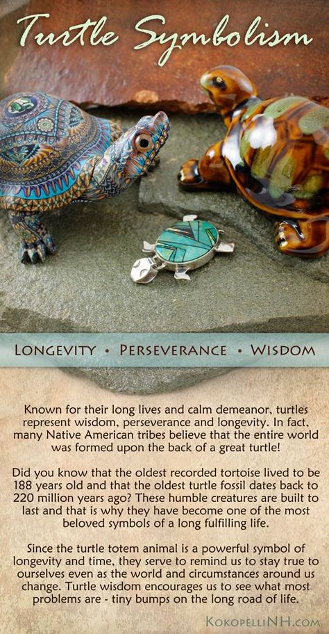 The Turtle is a Native American symbol of wisdom, perseverance, creation and a long life. Turtle Symbolism, Turtle Quotes, Native American Symbol, Ink Therapy, Turtle Time, Symbol Of Wisdom, Animal Spirit Guides, Native American Symbols, American Symbols