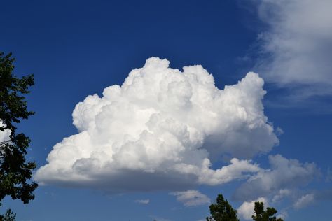 Altaria Pokemon, Cloud Type, Cumulus Clouds, Mega Pokemon, Cloud Icon, My Father's World, Pokemon Stuff, Cloud Painting, Matte Painting