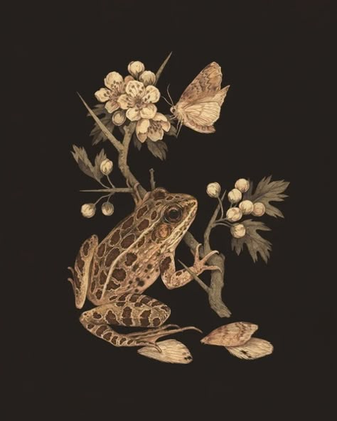 Teagan White, Gouache And Watercolor, Floral Illustration, White Prints, A Frog, Line Drawings, Flora And Fauna, Tattoo Inspo, Frogs