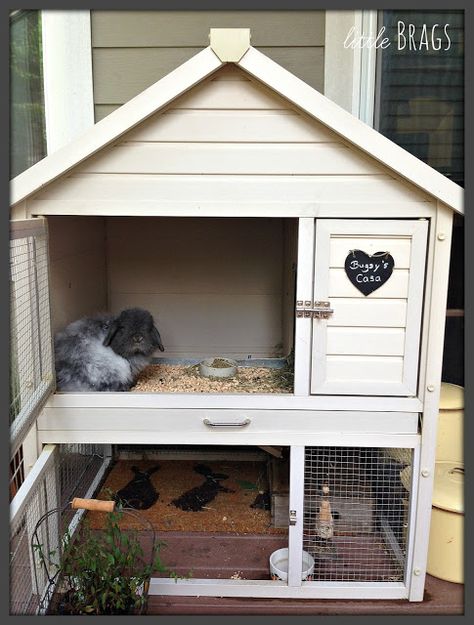 Diy Bunny Cage, Indoor Rabbit House, Wooden Spool Tables, Diy Rabbit Cage, Rabbit Hutch Indoor, Indoor Rabbit Cage, Diy Guinea Pig Cage, Outdoor Rabbit Hutch, Pet Rabbit Care