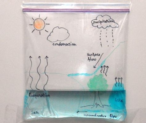 What Is Water Cycle, Water Cycle In A Bag, Water Cycle Model, Water Cycle Project, Water Cycle Activities, Properties Of Water, Child Drawing, Drawing Water, World Water Day