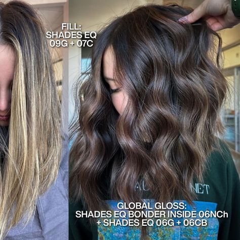 Chocolate Brown Formula Redken, Blonde To Brunette Shades Eq, 8vg Redken Shades Eq, Blonde To Brown Formula, Redken Shades Eq Gloss Formulas Brown, 6vb Shades Eq, Shades Eq Fill Formula, How To Fill Blonde Hair To Brown, Redken Shades Eq 6nch