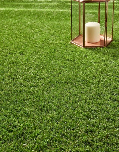 UKs Largest Artificial Grass Supplier | Grass Direct Japanese Living Room Decor, Artificial Grass Garden, Artificial Grass Backyard, Shady Gardens, Grass Alternative, Modern Garden Landscaping, Best Artificial Grass, Magic Fountain, Grass Type