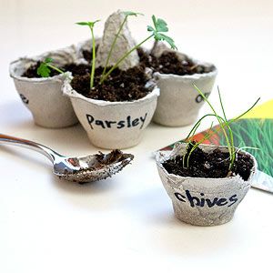 Egg carton plant pots http://www.parents.com/fun/arts-crafts/kid/creative-egg-carton-crafts/#page=8 Farm Wife, Egg Carton Crafts, Cute Egg, Fun Arts And Crafts, Homemade Decor, Egg Carton, Garden Crafts, Winter Garden, Herb Garden