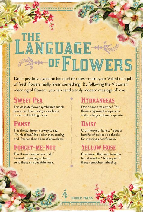 Don’t just buy a generic bouquet of roses—make your Valentine’s gift of fresh ﬂowers really mean something! By following the Victorian meaning of ﬂowers, you can send a truly modern message of love. Sketching Flowers, The Language Of Flowers, Favourite Flowers, Finishing School, Flower Alphabet, Floral Wreaths, Flower Meanings, Victorian Flowers, Witchy Things