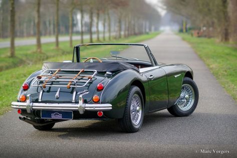 Austin Motors, Austin Healey 3000, Austin Cars, British Racing Green, Lovely Car, British Sports Cars, Austin Healey, Power Wagon, Cool Sports Cars