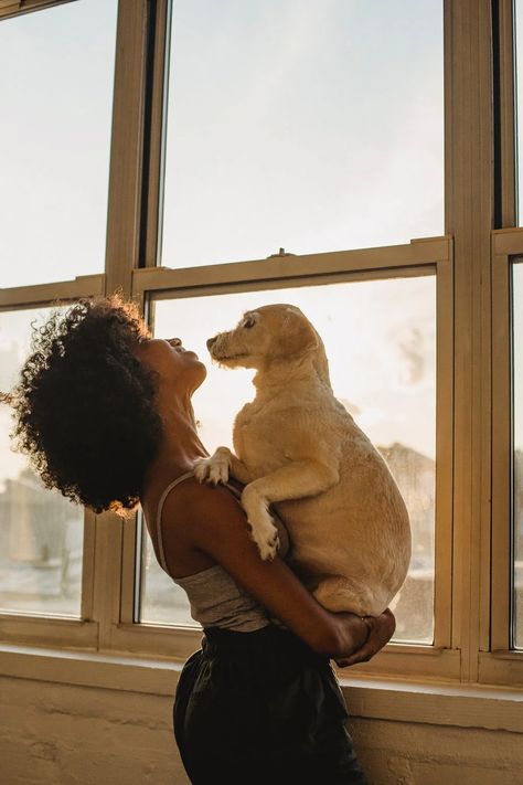 Black woman with dog near window · Free Stock Photo Dog Stock Photo, Disabled Dog, Elderly Dogs, Dog Kisses, Education Positive, Dog Health Care, Dog Facts, Dog Care Tips, Surprising Facts