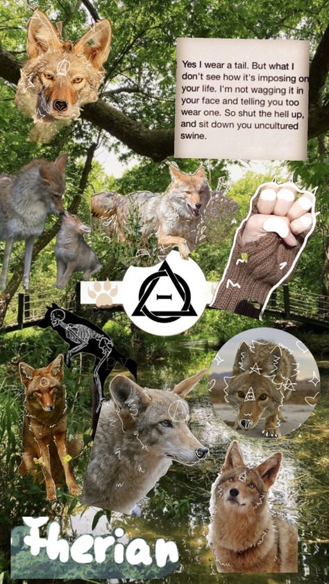 Free to use for any therians or animal lovers, etc! No need to credit ^^ Coyote Therian, Therian Art, Uncultured Swine, Animal Lovers, Animal Lover, Collage, Animals, Art