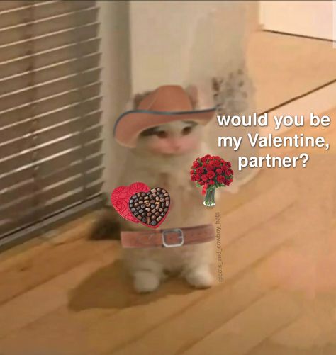 Valentines Cat, Cowboys Memes, Valentines Memes, The Wild West, Cat Valentine, Wholesome Memes, Silly Cats, Funny Valentine, Pretty And Cute