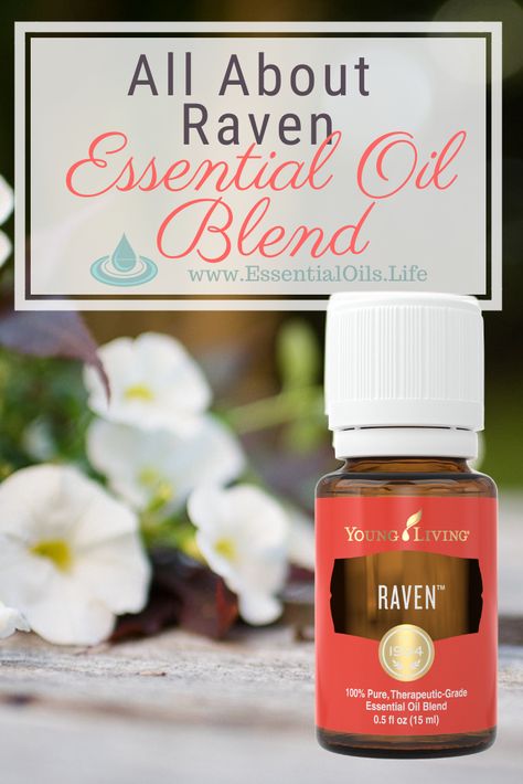 Diy Young Living Recipes, Raven Diffuser Blends, Raven Essential Oil Young Living, Young Living Raven, Raven Essential Oil, Essential Oils Uses Chart, Essential Oil Roller Bottle Recipes, Oil Therapy, Wintergreen Essential Oil