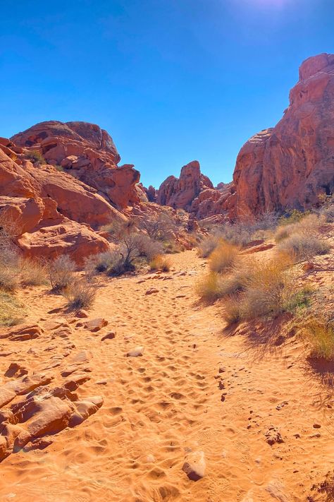 A beautiful print of a desert trail landscape in the southwestern US. The clear blue sky is the perfect contrast to the orange desert sand. This is a digital download. No physical product will be sent. Simply download and print at home or your favorite print shop. You will be given a zip file that contains the photo in different aspect ratios. Be sure to use the ratio that will best fit your printing needs. The ratios are: 1/1, 2/3, 3/4, 4/5. Due to different screen and printer models and settin Orange Desert, On A Dark Desert Highway, Desert Photoshoot, Desert Road, Beautiful Landscape Photography, Landscape Digital, Life Paint, Desert Sky, Nature Color Palette