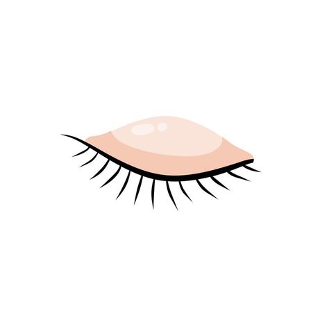 Closed Eyes Illustration, Eye Detail, Eye Illustration, Double Eyelid, Eye Details, Asian Eyes, Closed Eyes, Cartoon Illustration, Vector Art