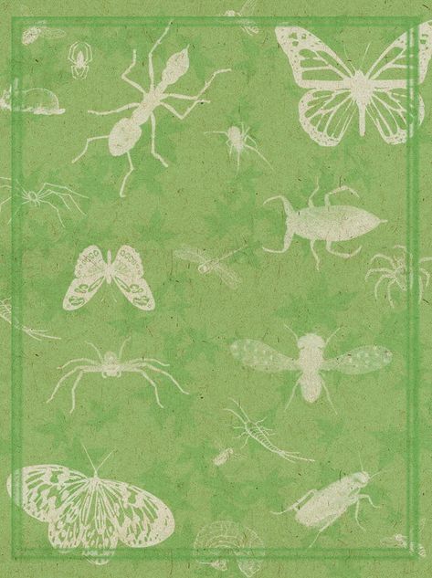 Insect Background, Vintage Texture Background, Background Butterfly, Green Bug, Spring Flowers Background, Vintage Scrapbook Paper, Border Background, House Wallpaper, Retro Background