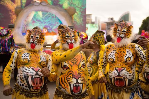 Why now is the time to see India’s 200-year-old Tiger Dance festival Tiger Dance, Tiger Mask, Mask Dance, Dance Festival, Now Is The Time, Old Master, The Streets, Kerala, Tigers