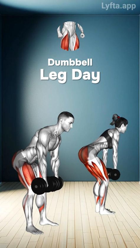 Dumbbell Leg Day – Build Strong Legs in the USA!

Ready to power up your leg day with dumbbells? 🇺🇸 This dumbbell-focused leg workout will help you sculpt your legs and glutes while building strength and endurance! 💪🔥

🔥 Top Dumbbell Leg Exercises: ✔️ Dumbbell Squats – Build strength in your quads, hamstrings, and glutes 🍑 ✔️ Dumbbell Lunges – Tone your legs and glutes with every step 💪 ✔️ Dumbbell Deadlifts – Target your hamstrings and glutes for muscle growth 🔥 ✔️ Dumbbell Step-Ups – Sculpt your legs and improve balance 🏋️‍♂️ ✔️ Dumbbell Bulgarian Split Squats – Focus on your quads and glutes 💥

🛒 Shop the best dumbbells for a killer leg day workout! Link in bio.

Hashtags: #DumbbellLegDay #LegDayWorkout #DumbbellExercises #LegStrength #GluteTraining #LegSculpting #StrengthTra Leg Workout For Beginners, Workout For Beginners At Home, Beginner Leg Workout, Romanian Deadlift, Leg Workout At Home, Goblet Squat, Good Results, Sumo Squats, Split Squat