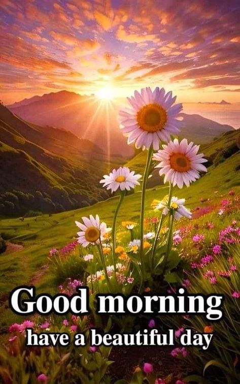 Dreams Pictures, Gif Good Morning, Good Morning Meme, Good Morning Nature Images, Good Morning Animals, Good Morning Christmas, Good Morning Wishes Gif, Fresh Morning, Goodnight Quotes