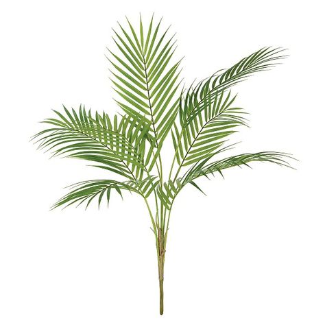 Areca Palm Plant, Fake House Plants, Primrose Plant, Cheap Artificial Plants, Artificial Plants And Trees, Unusual Home, Areca Palm, Red Geraniums, Palm Plant