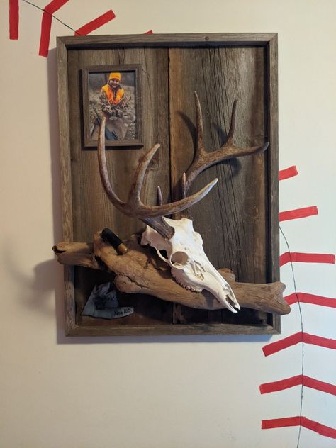 First Buck Mount Ideas, Deer Skull Display, Deer Antler Display Ideas, European Skull Mount Ideas, European Mount Display, Deer Skull Mount Ideas, Deer Antler Display, Decorating With Deer Mounts, European Deer Mount Ideas