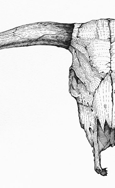 Steer Head Drawing, Western Skull Drawing, Bull Skull Wallpaper, Simple Western Wallpaper Iphone, Rodeo Drawings, Country Western Wallpaper Iphone, Cowboy Drawings, Western Sketches, Skull Artwork Illustrations