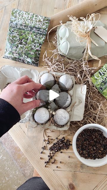 Anna King on Instagram: "✨DIY FRIDAY✨
STOP…Don’t throw away those empty egg boxes!! I gave mine new life by painting them & using them as a gift box for my handmade seed bombs!

I don’t know about you but I always find that the obvious gift for Easter is chocolate eggs & although I would like to receive chocolate, I have a few friends & family that would appreciate this gift idea more…better on the waistline!!

These egg shaped seed bombs are so easy to make…here’s what you need:

🌱Empty egg box
🌱Air dry clay
🌱Compost/Soil
🌱Seeds of your choice
🌱Shredded paper
🌱Raffia straw
🌱Dried flowers for decoration 

I used Buckwheat & Clover seeds in half my eggs (to suppress weeds & improve soil) & a mix of herb seeds in the others! 

Once the clay is dry, simply plant the seed bombs into the Egg Box Craft Ideas, Bird Seed Eggs Easter, Egg Carton Seed Starter, Egg Carton Fire Starters, Flower From Egg Tray, Hygge Crafts, Pressed Flower Easter Eggs, Flower Seed Gifts, Egg Box Craft