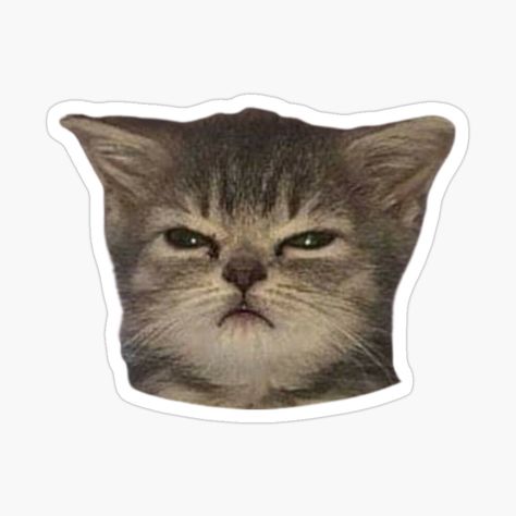 Angry Cute, Stickers Bonitos, Weird Stickers, Sticker Board, Funny Laptop Stickers, Kitten Stickers, Stickers To Print, Preppy Stickers, Iphone Stickers