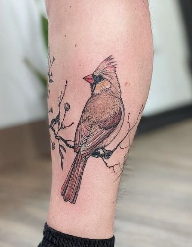 Female Cardinal Tattoo, Red Cardinal Meaning, Robin Tattoo, Cardinal Tattoo, Cardinal Tattoos, Female Cardinal, Arm Tats, Mommy Tattoos, Leg Tattoo