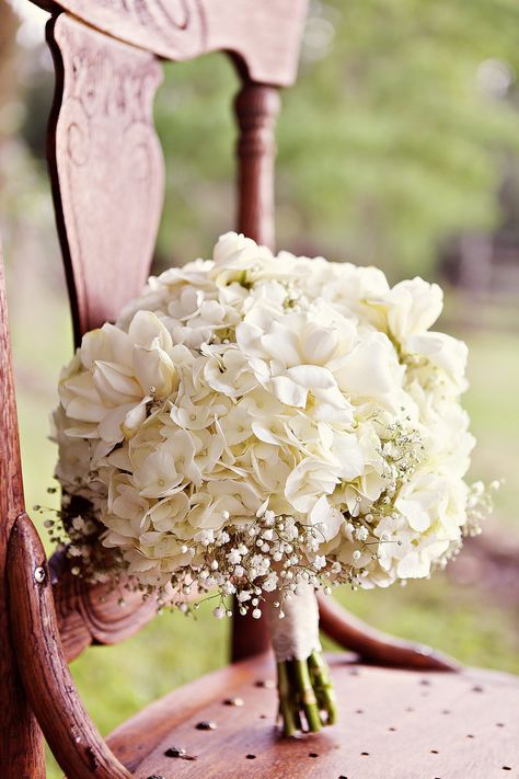 White Bridal Bouquet Hydrangea, Baby's Breath Bridal Bouquet, Hydrangea Bridal Bouquet, Hydrangea Bouquet Wedding, Hydrangea Bouquet, Hydrangeas Wedding, White Bridal Bouquet, White Wedding Bouquets, White Hydrangea