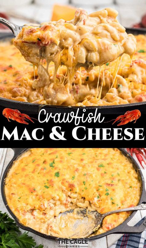 Crawfish Mac And Cheese, Crawfish Boil Party, Crawfish Recipes, Cajun Dishes, Cajun Creole Recipes, Boiled Food, Cajun Cooking, Louisiana Recipes, Crawfish Boil