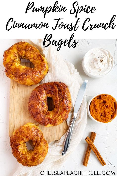 A perfect bagel for the fall, these pumpkin spice bagels are topped with cinnamon toast crunch. They are easy to make, and do not require a long waiting time. They are also vegan. Pumpkin Spice Bagel Recipe, Cinnamon Crunch Bagel Recipe, Leftover Pumpkin Pie Filling, Pumpkin Bagel Recipe, Cinnamon Crunch Topping, Leftover Pumpkin Pie, Vegan Fall Dessert, Cinnamon Bagels, Pumpkin Bagels