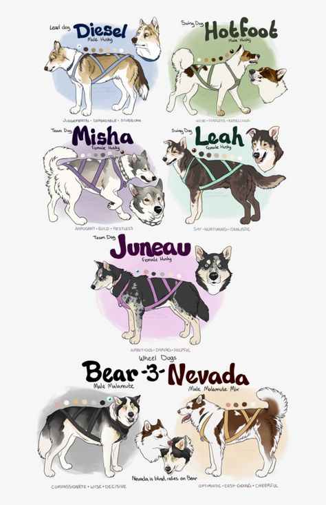 Service Dog Oc Art, Sled Dogs Drawing, Sled Dog Drawing, Service Dog Drawing, Dog Oc Art, Wolf Names, Dog Oc, Cartoon Dog Drawing, Dog Design Art