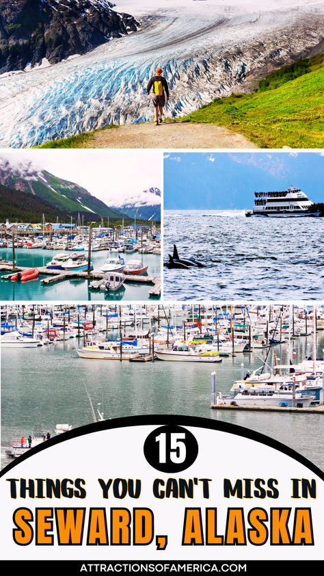 Images of Alaska attractions like Exit Glacier, Icefields and Wildlife Cruise with text overlay reading 15 things you can't miss in Seward, Alaska. Things To Do In Seward Alaska, Seward Alaska Things To Do In, Seaward Alaska, Alaska Seward, Visiting Alaska, Soldotna Alaska, Bestie Trip, Travel Alaska, Seward Alaska