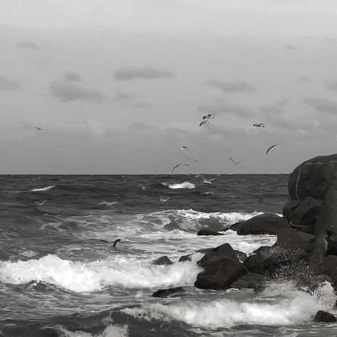 Zodiac Academy, Waves Crashing, Cloudy Day, The Ocean