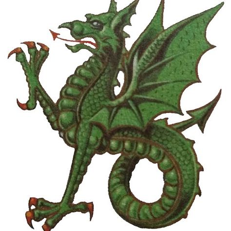 Green Wyvern  . #dragon #heraldry #tshirts Medieval Dragon Art, Green Wyvern, Dragon Heraldry, Wyvern Dragon, Mythology Creatures, Dragon Medieval, Chinese Dragons, Medieval Dragon, Dragon Illustration