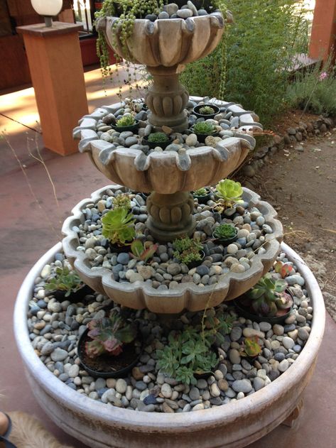 Succulent Fountain, Flower Fountain, Landscaping Shrubs, Country Garden Design, Succulent Garden Ideas, Succulent Landscape Design, Fountain Ideas, Pathway Landscaping, Front Garden Landscape