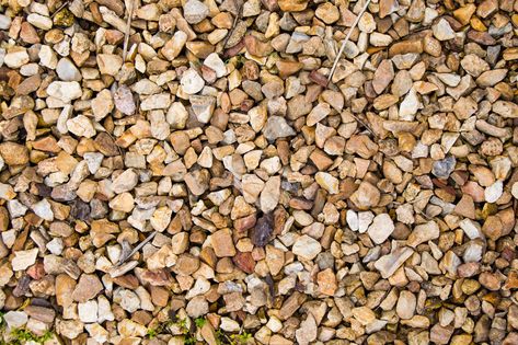 Rock,Background,,Commonly,Called,Pea,Gravel,Sidewalks. Pea Gravel Dog Potty, Outdoor Dog Potty Area Diy, Backyard Pea Gravel, Dog Backyard Area, Balcony For Dogs, Dog Areas In Backyard, Dog Potty Diy, Porch Potty, Dog Potty Area