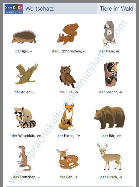 German Lessons, German Phrases, High School Hacks, German Language Learning, German Words, English Language Teaching, Grammar And Vocabulary, Learn German, Language Teaching