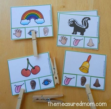 FREE resource.  This post has some really awesome pictures and ideas for teaching about the 5 senses.  At the bottom of the post is a link to download the cards above as a FREE set.  Read more at:  http://www.themeasuredmom.com/free-five-senses-activity-for-preschool-and-kindergarten/ Preschool Senses, Five Senses Activity, Preschool Five Senses, Preschool 5 Senses, Senses Activity, 5 Senses Preschool, My 5 Senses, Five Senses Preschool, 5 Senses Activities