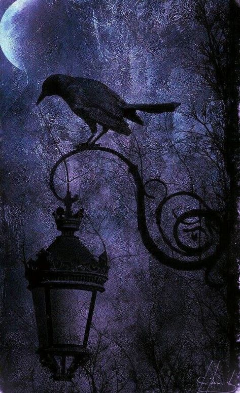 Gothic Painting Ideas, Gothic Painting, Candle In The Dark, Whatsapp Wallpaper Cute, Goth Wallpaper, Gothic Wallpaper, Witchy Wallpaper, Crows Ravens, Gothic Aesthetic