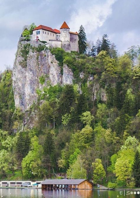 Visit Slovenia, Lake Bled Slovenia, Bled Slovenia, Slovenia Travel, Lake Bled, Island Lake, Kids Vacation, Travel Pics, Europe Vacation