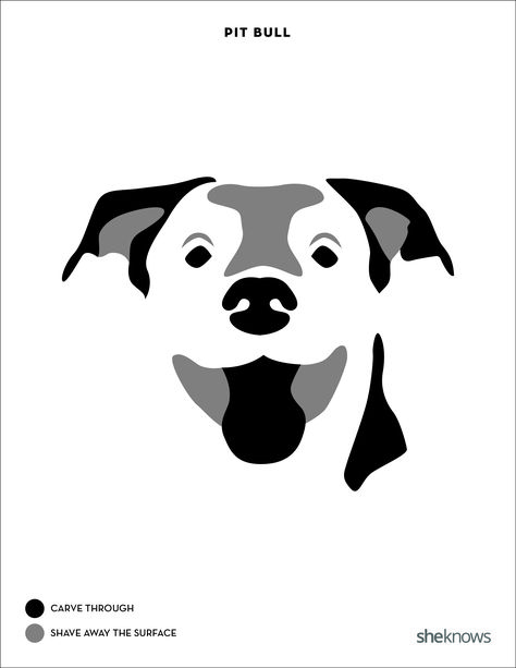 Pit bull Pumpkin Dog Carving, Bulldog Images, Dog Template, Dog Stencil, Printables Ideas, Disney Pumpkin Carving, Scary Halloween Pumpkins, Pumpkin Drawing, Dog Pumpkin