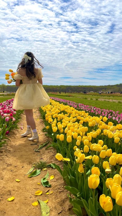 Tulip Farm, Spring Portraits, Aesthetic Yellow, Spring Photoshoot, Flower Photoshoot, Picking Flowers, Tulip Festival, Spring Pictures, Farm Photo